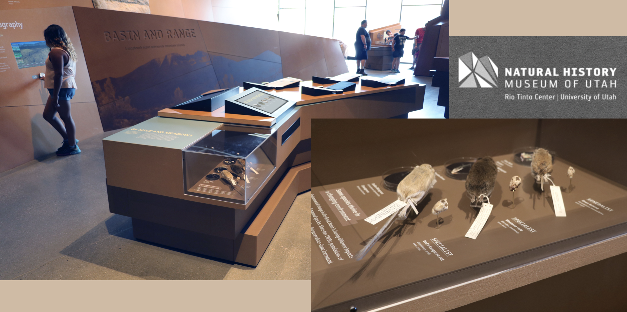 Utah Museum of Natural History