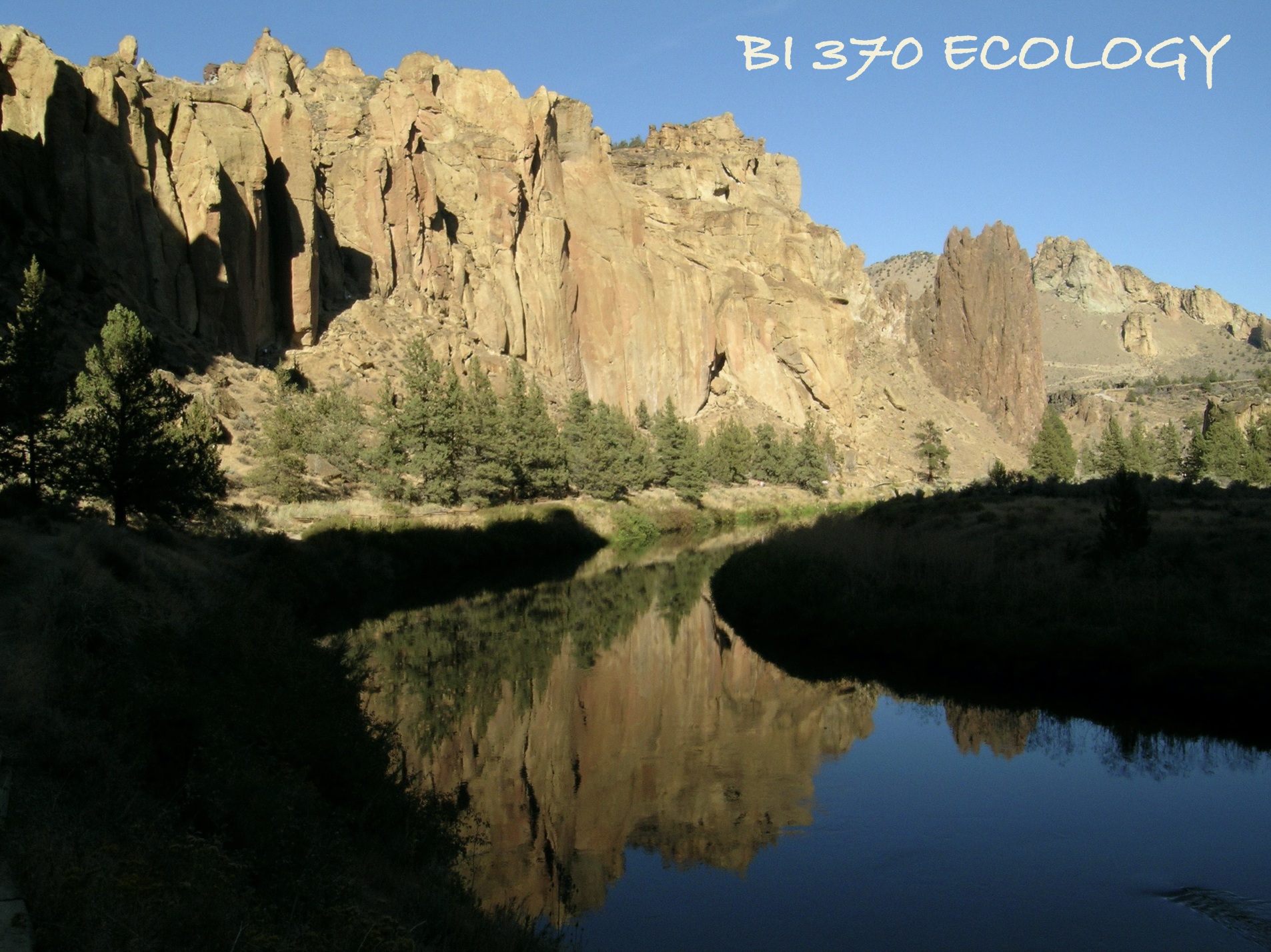 Ecology course