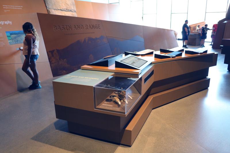 Of Mice and Meadows exhibit overview